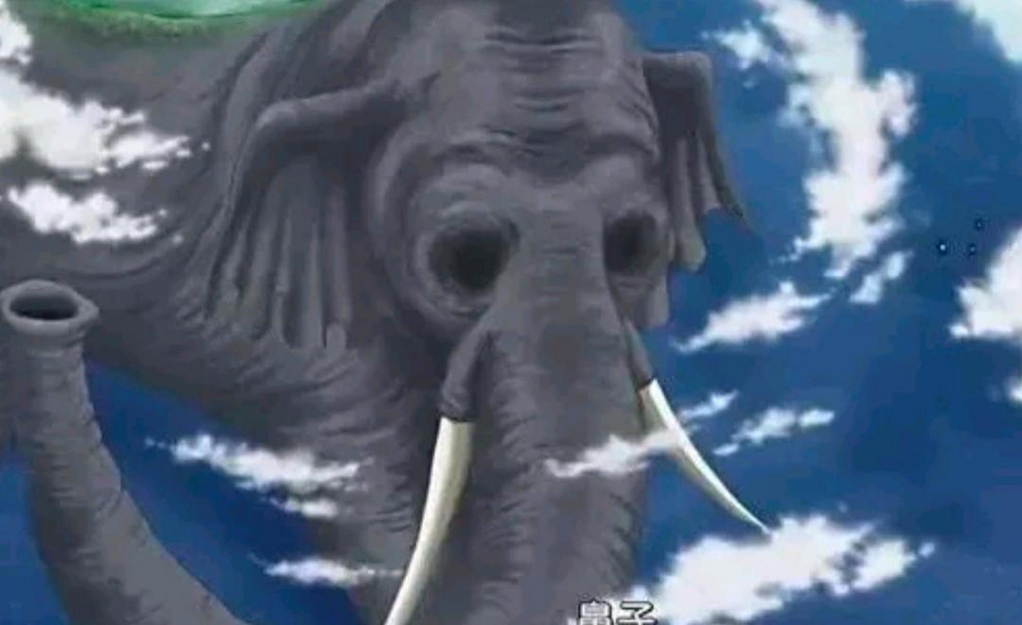 佐乌岛,海贼世界在现实中存在吗?