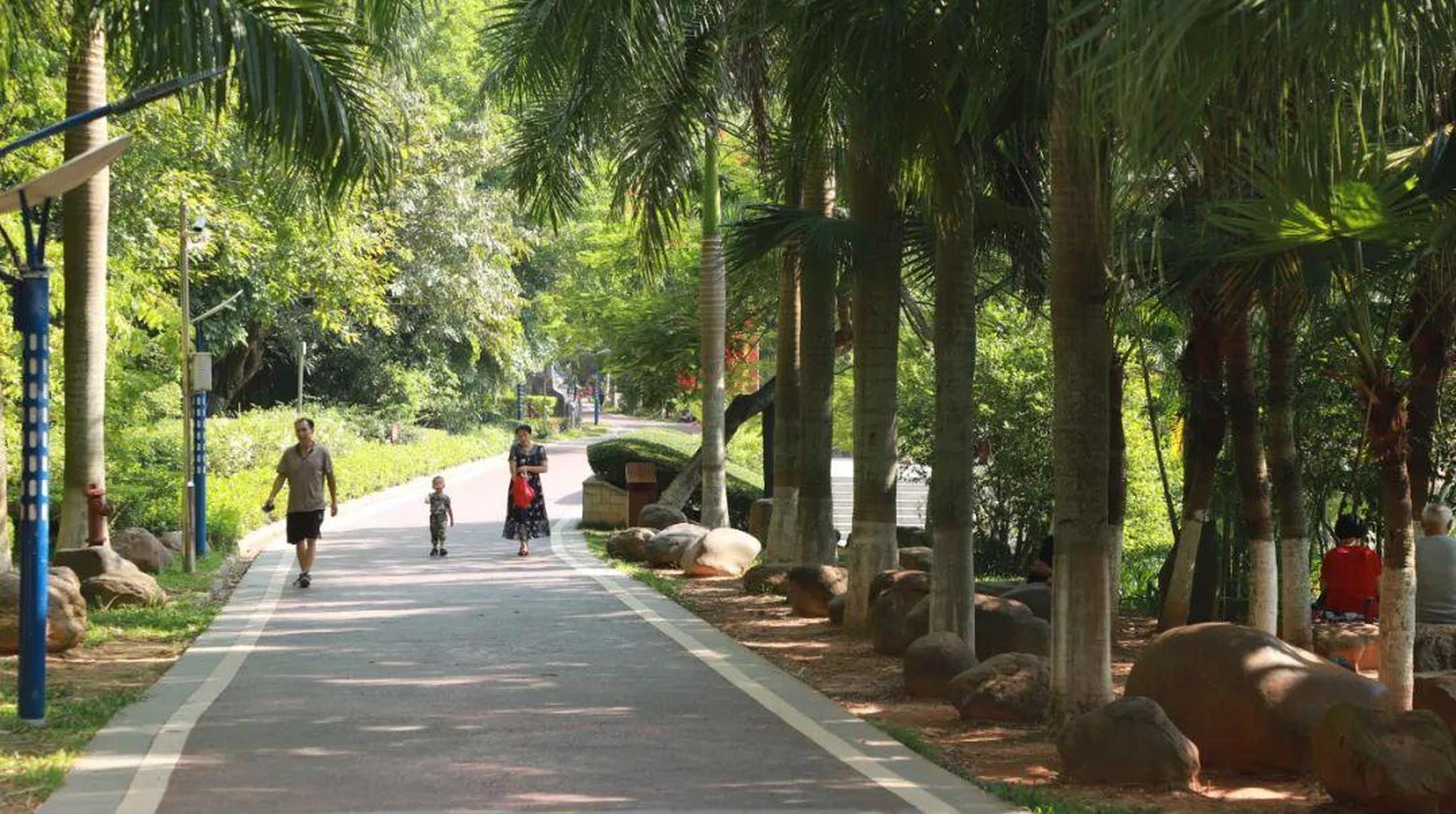 五一去哪玩儿#平南龚州公园属全开放式公益性免费公园,是国家aaaa级