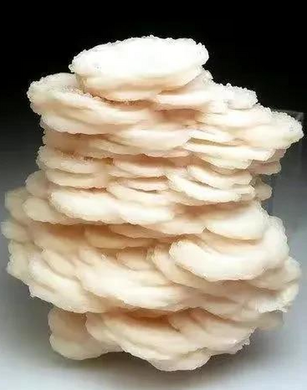 片状粉红色方解石晶体簇与石英.