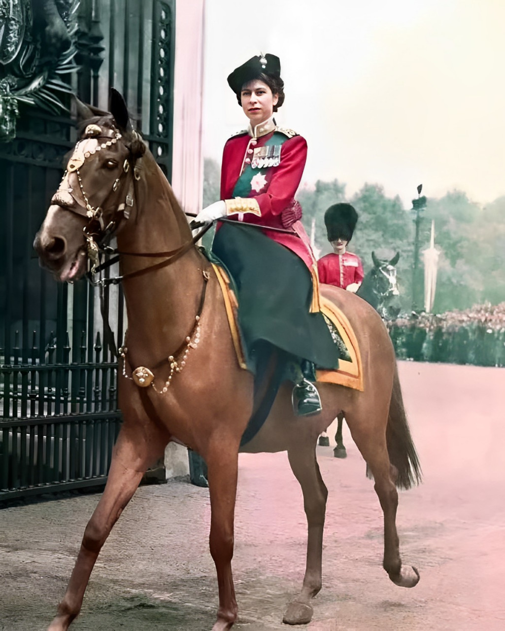 1952年,英国的女王骑着一匹大马进入白金汉宫.这一幕,实在是太精彩了!