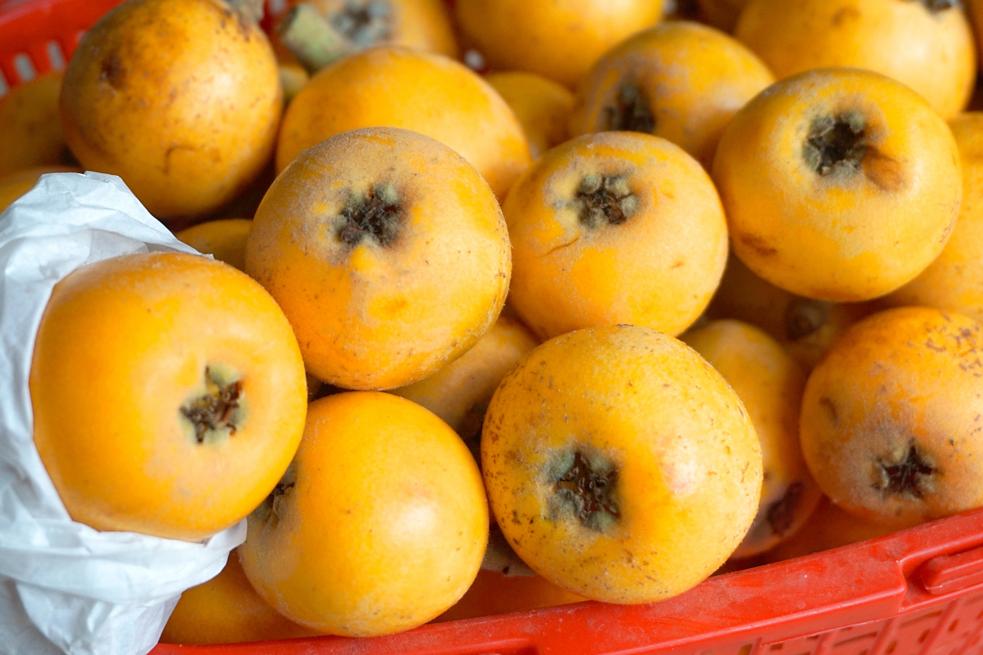 龙泉驿的枇杷可是中国地理标志产品:大五星枇杷,品质有保证.