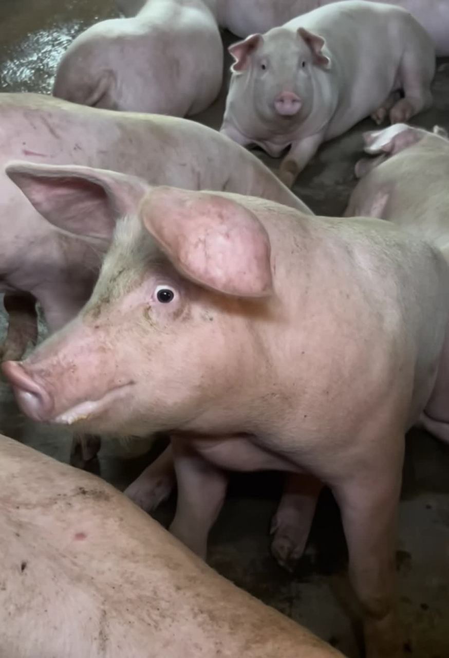 大学生同款 眼神清澈睿智[大哈][坏笑]少年,努力吧,奋斗吧.