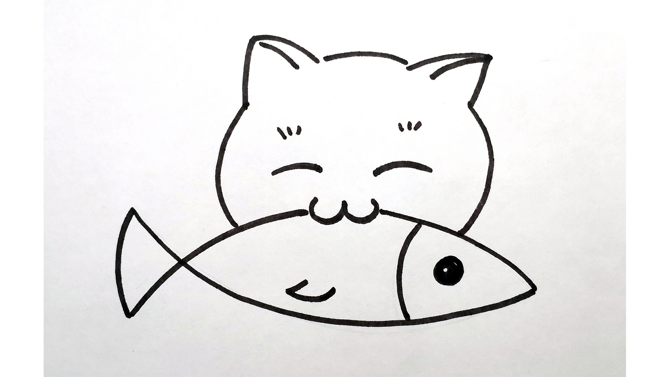 猫抓鱼简笔画图片