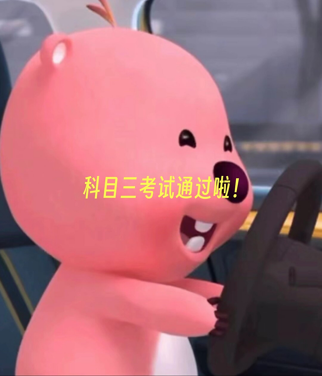 终于熬过来了,太开心了!