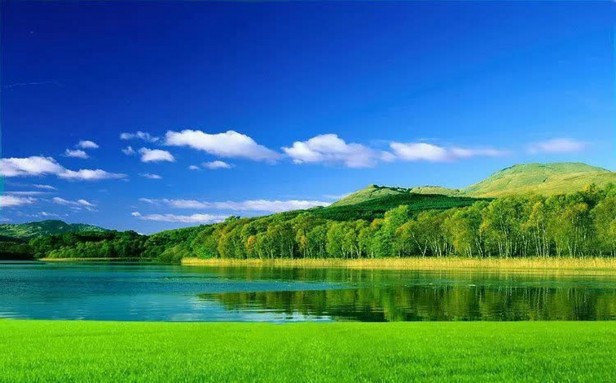 科尔沁大草原,绿色的原野,阳光明媚的风,清新的空气,成群的牛羊.