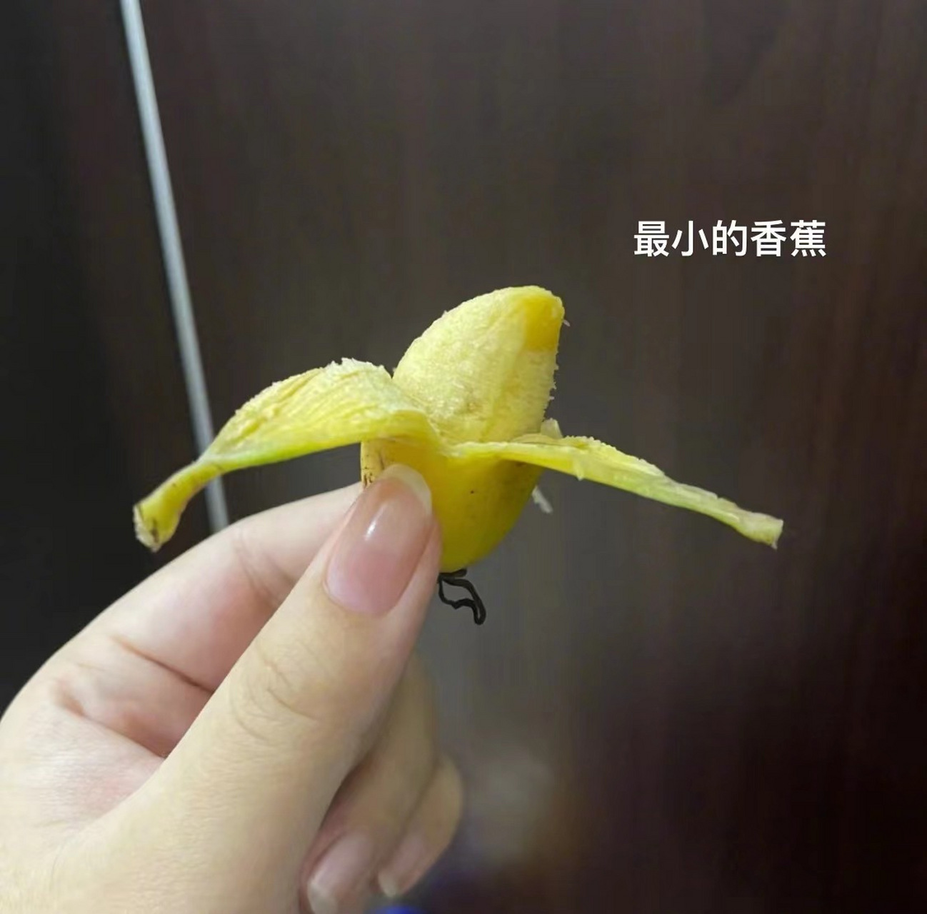这是我见过最小的香蕉.