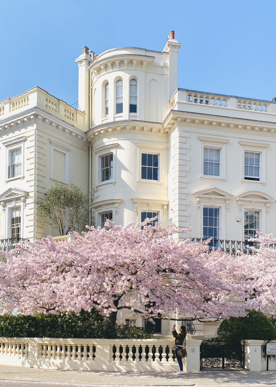 全世界我最想拥有的房子!没有之一! 梦想中浪漫的房子,就是这个样子! 