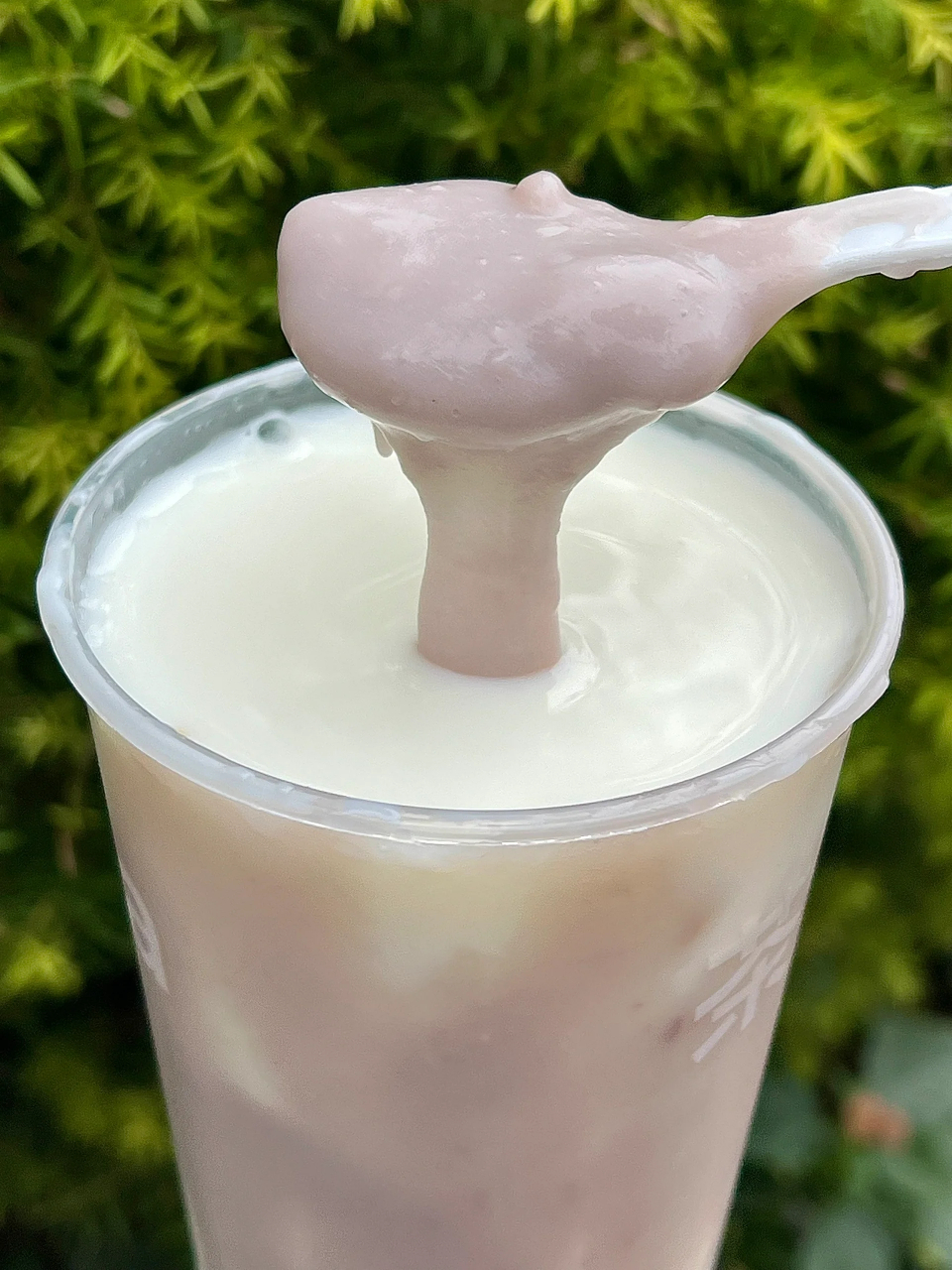 鲜奶桂花芋头,现蒸超厚芋泥奶绿,现蒸超厚芋泥奶茶