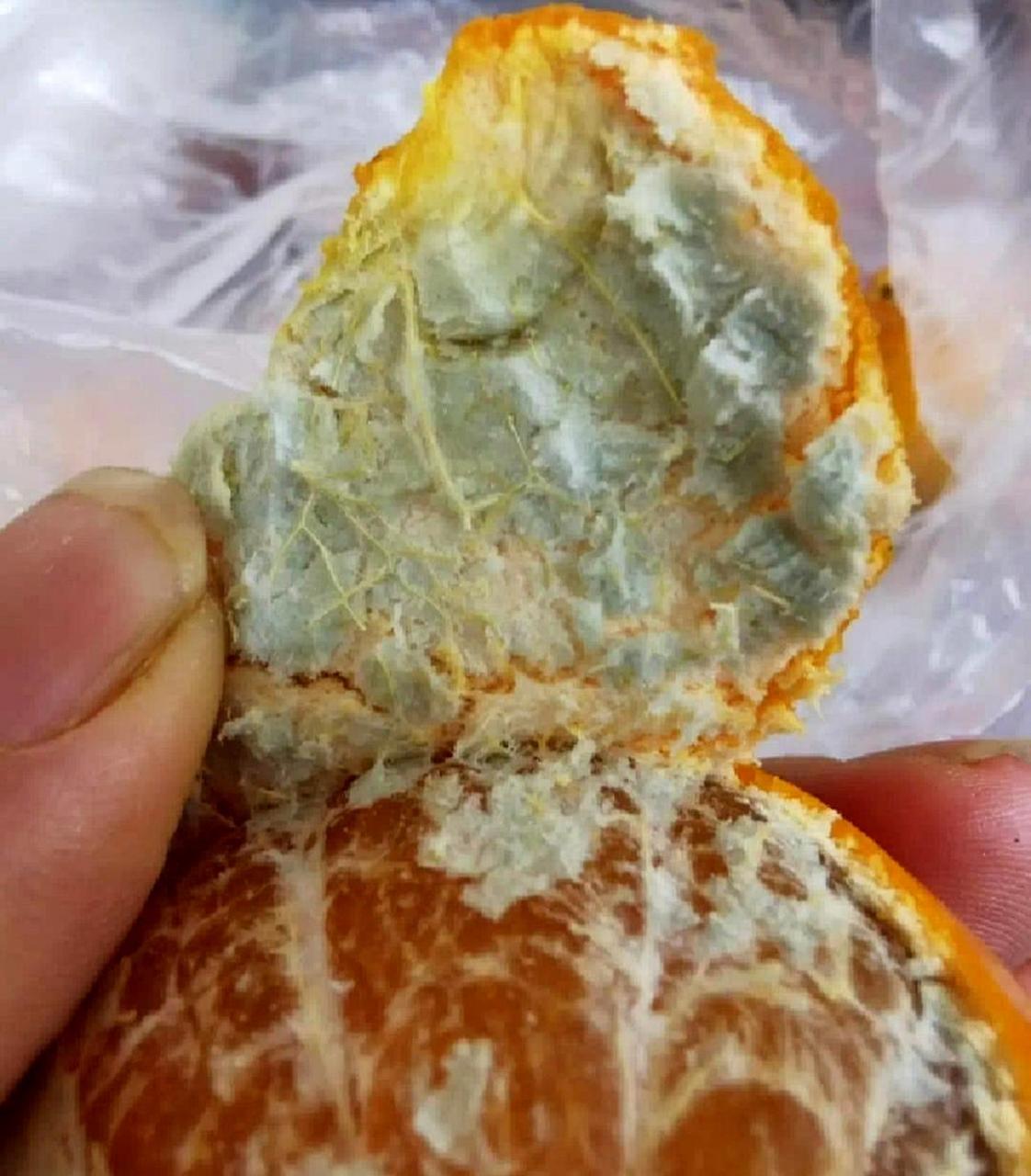 这个橘子是否已经长出霉菌?