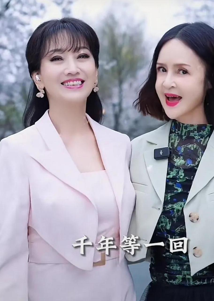 看不出来赵雅芝比高胜美大16岁,看起来像姐妹.