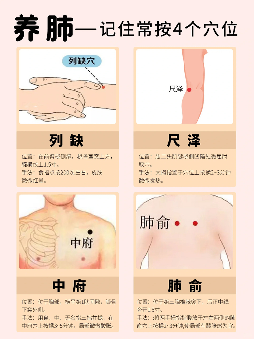 肺经络图走向图片