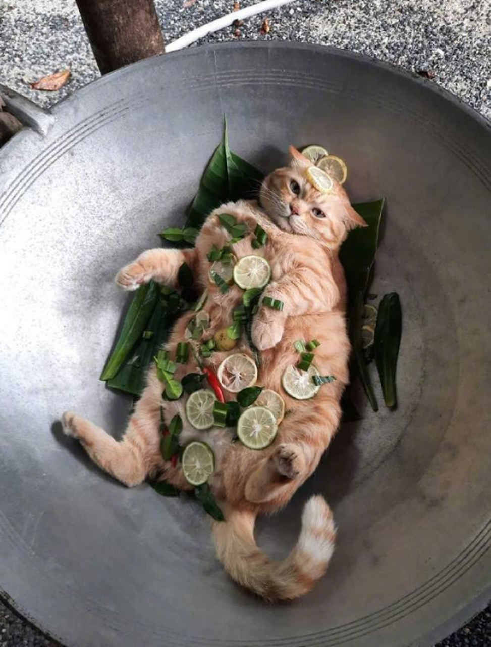 高端的食材往往是采用最简单的烹饪方式