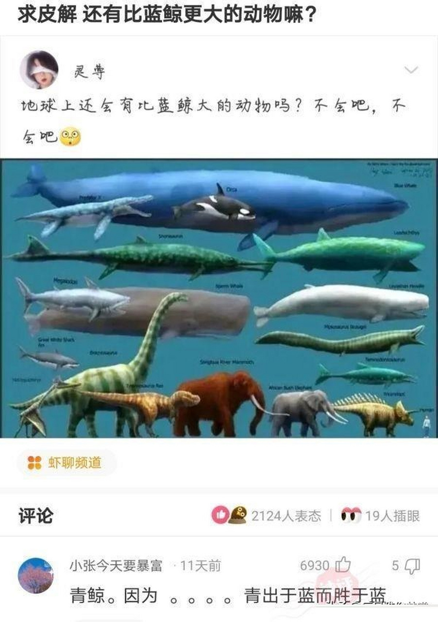 比蓝鲸大100倍的生物图片