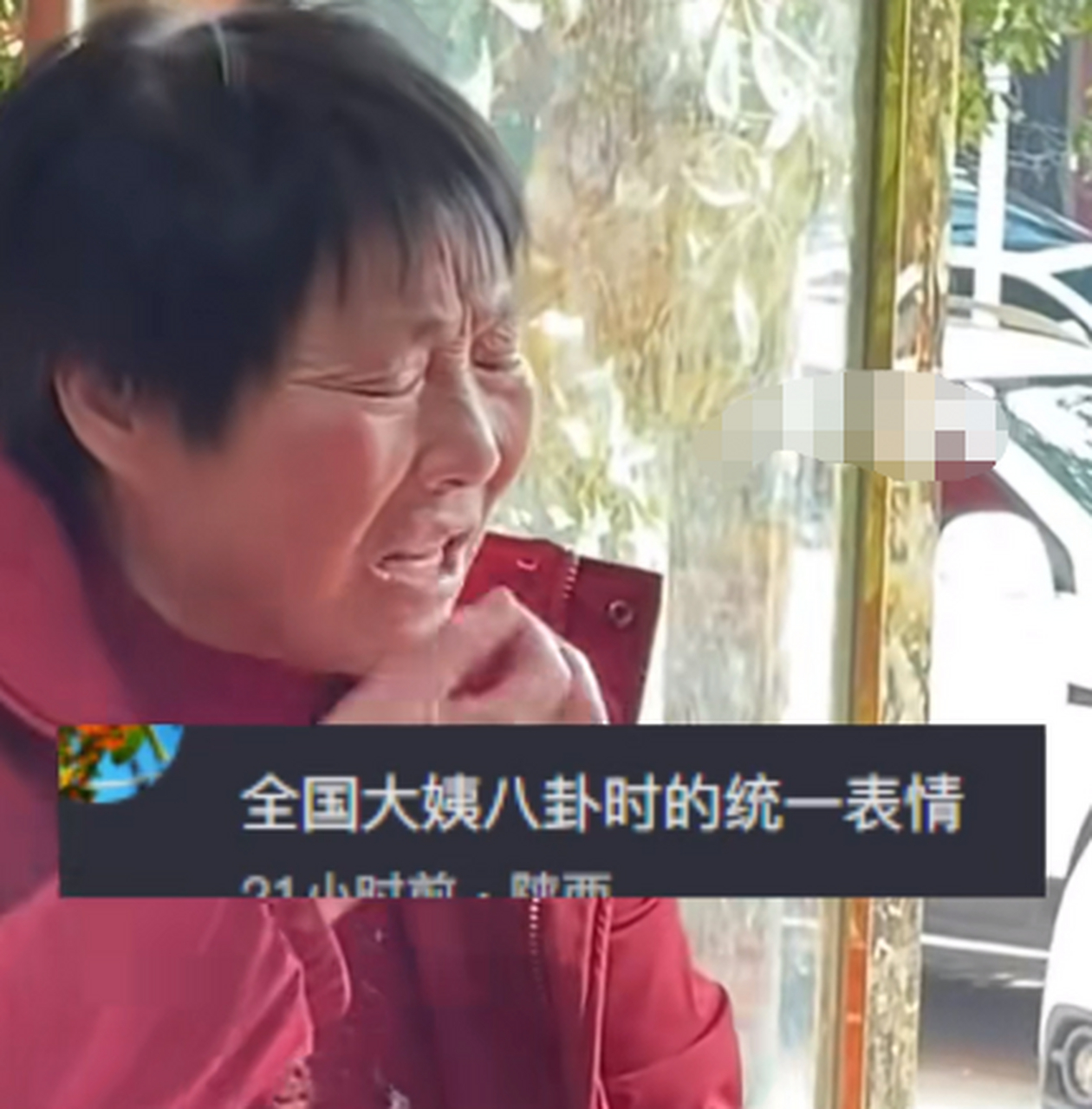 大妈沉浸式嗑瓜子聊天,没有一个表情是多余的.