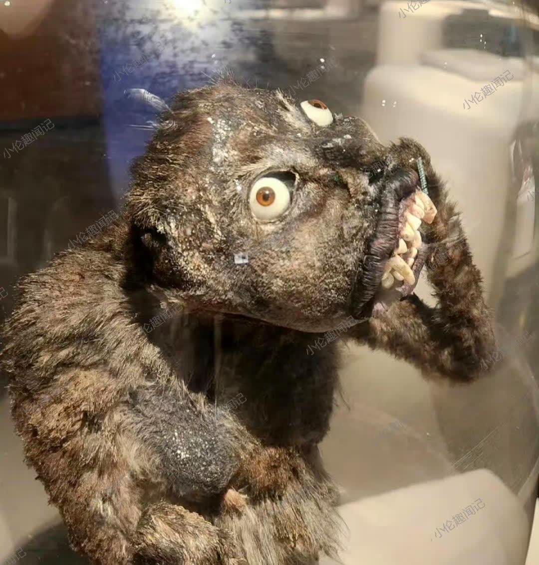 天哪,这到底是什么? 看起来很吓人?