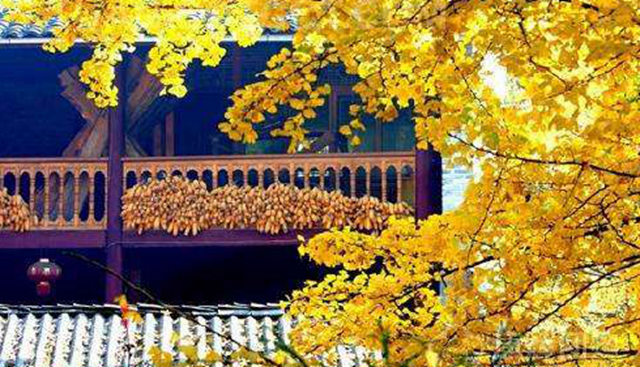 好儿郎,浑身是胆.