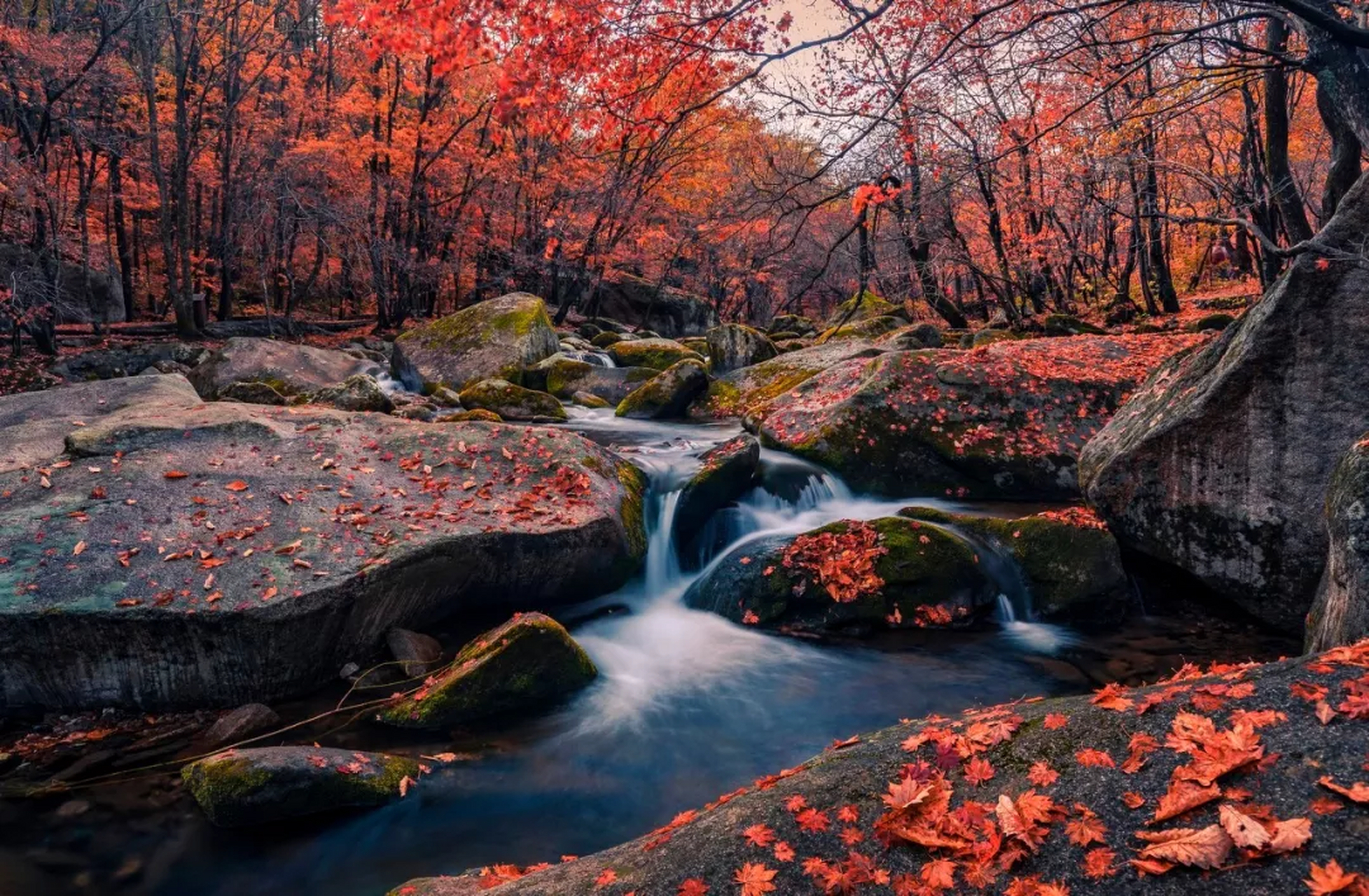 一到秋天,本溪就变得五颜六色,让人不禁被这份热情似火的浪漫秋色所