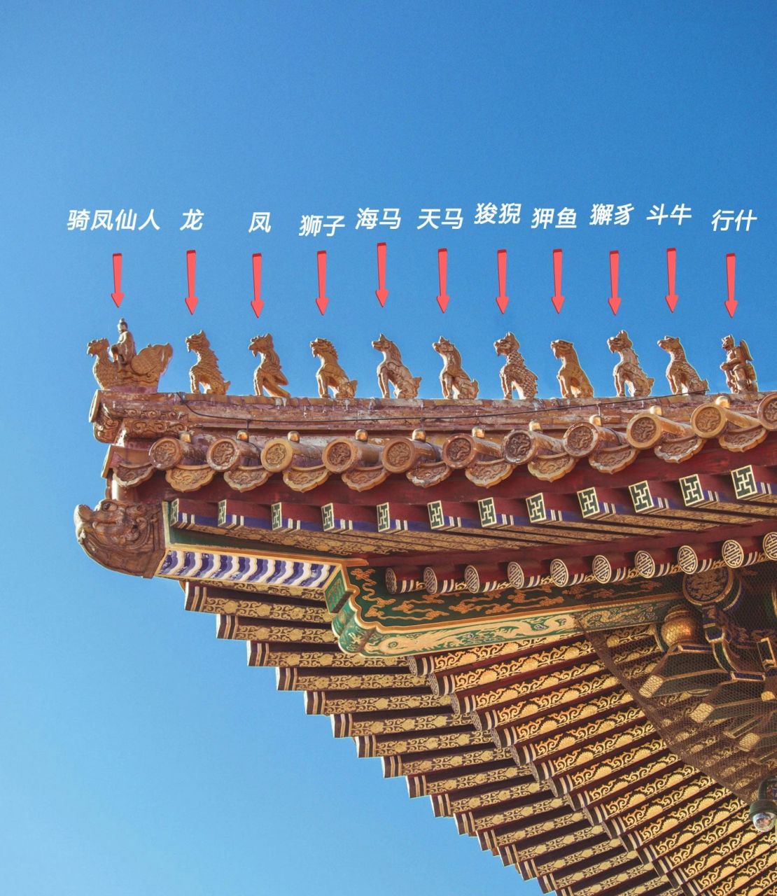 7815 对于屋顶脊兽,最令人印象深刻的莫过于故宫太和殿之上的脊兽