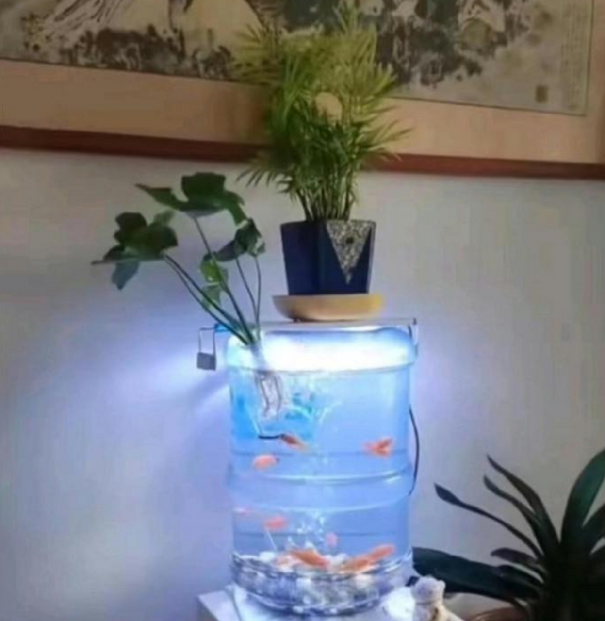 大塑料瓶手工制作鱼缸图片