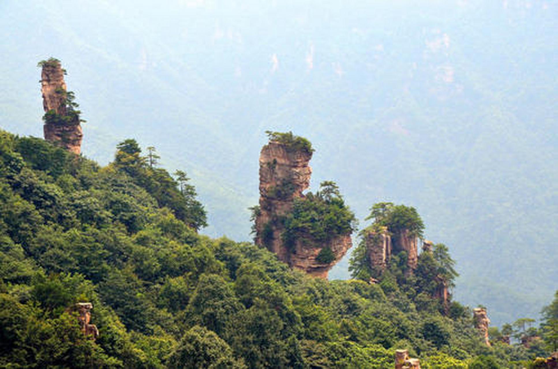 #夏日生活图鉴# 仙女散花(天子山):仙女献花被誉为仙女的化身,向王天