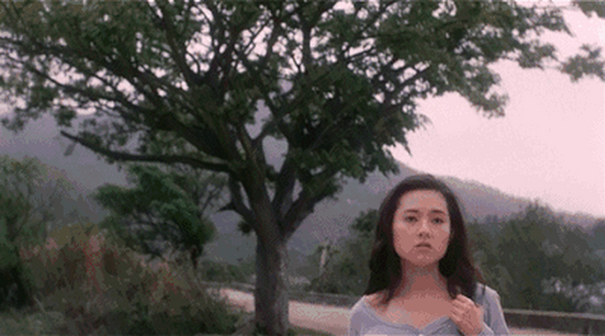 李丽珍陆续出演了《九龙不败》,《热血合唱团》,《浊水漂流》等影视