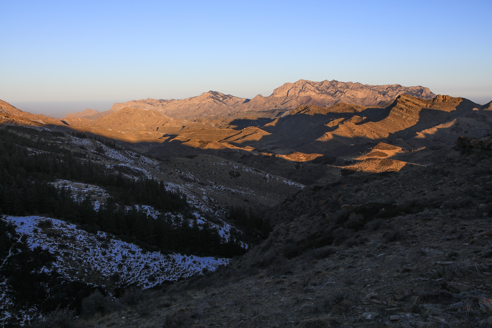 :冬日清晨,日出贺兰山,满山红黄,遍地成金