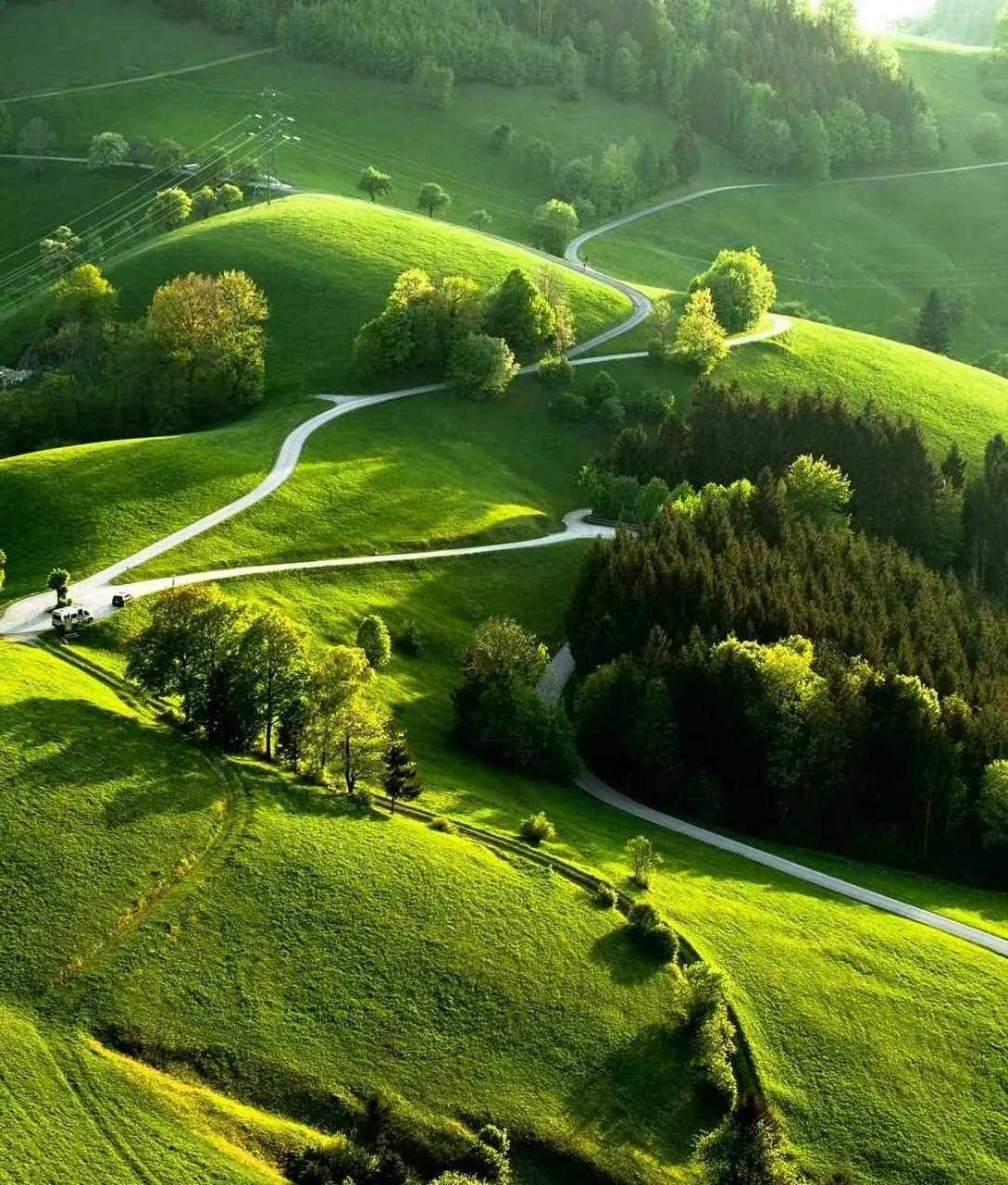 美景分享 满眼绿色