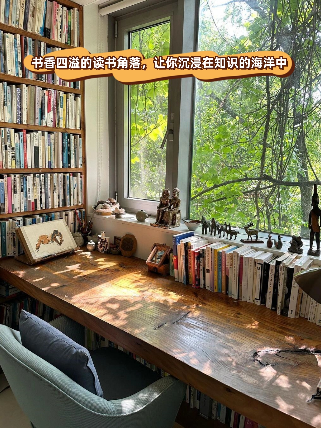 书香四溢的读书角落,让你沉浸在知识的海洋中