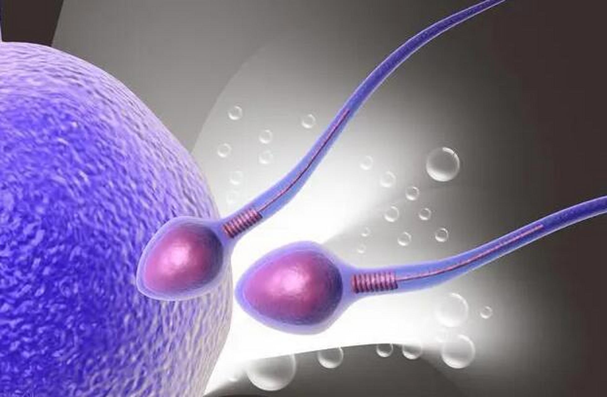 无精症对身体有影响吗?