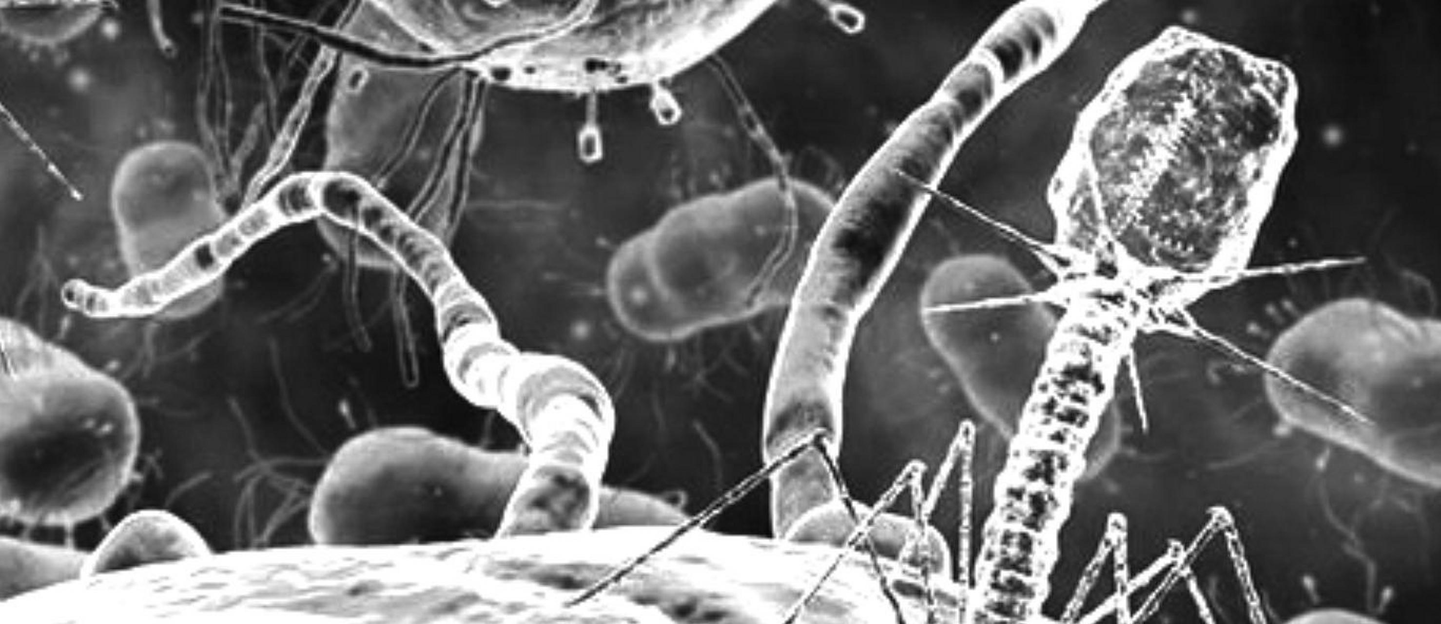 骨灰,大便,超级细菌!恒河水被糟蹋成这样,印度人仍照喝不误?