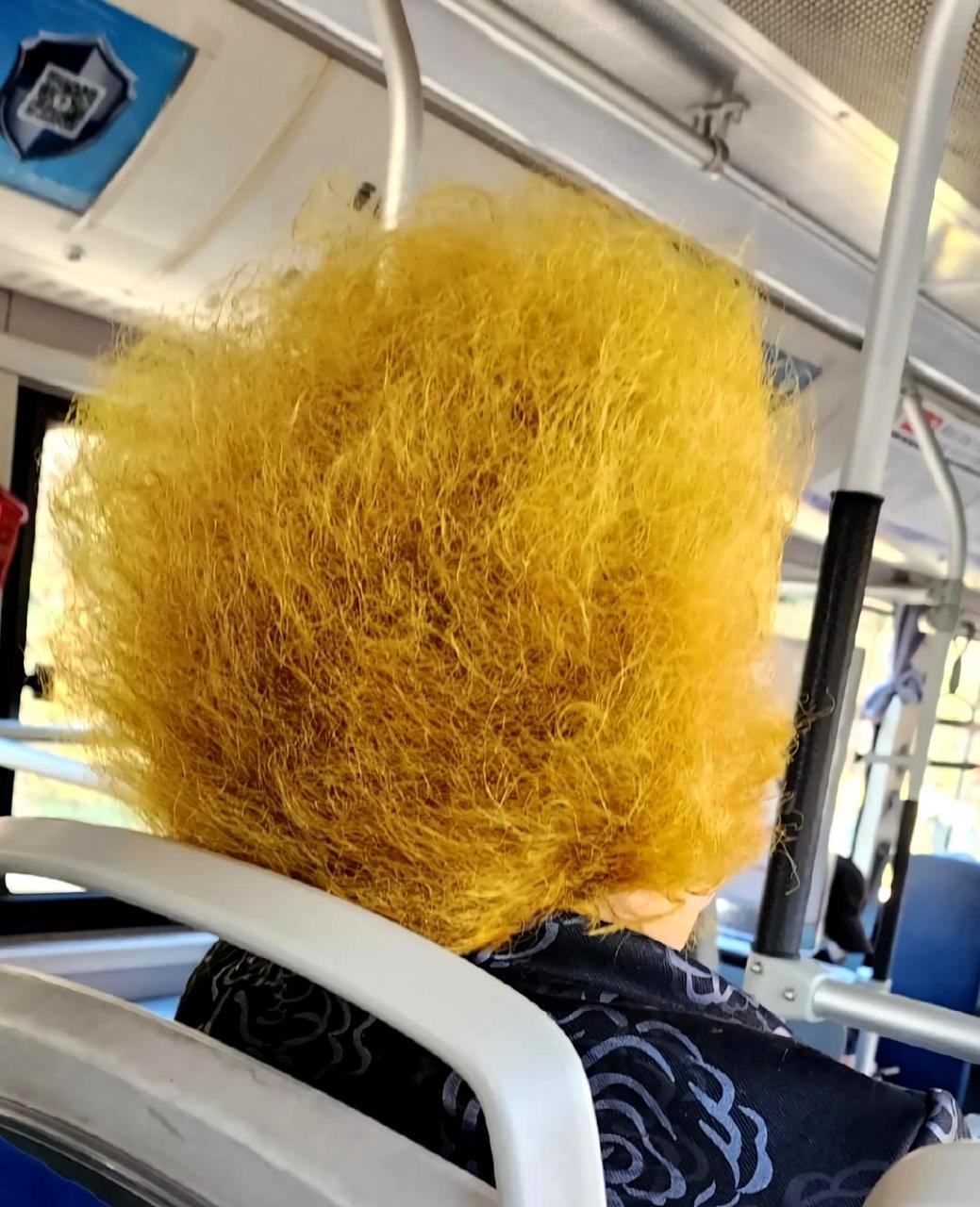 天津大姨烫的头发,仿佛拔丝土豆般充满了诱人的韵味.