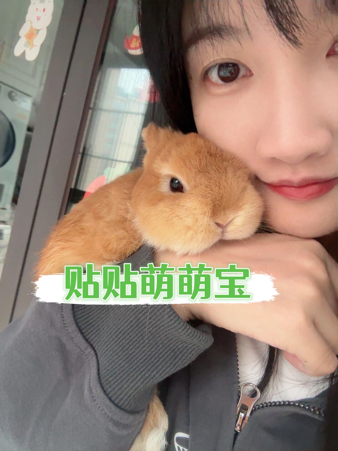 贴贴萌萌宝