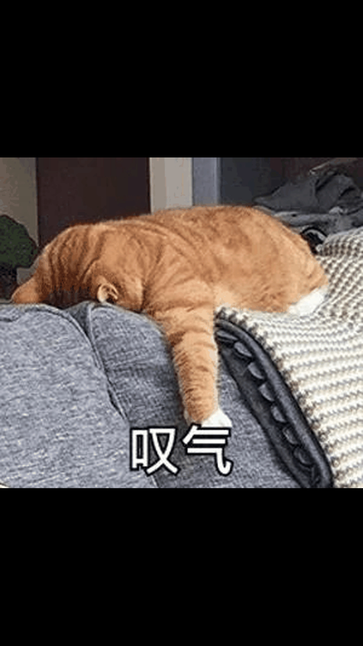 还好后面第二季开始换成现在的公司了又补救回来了!