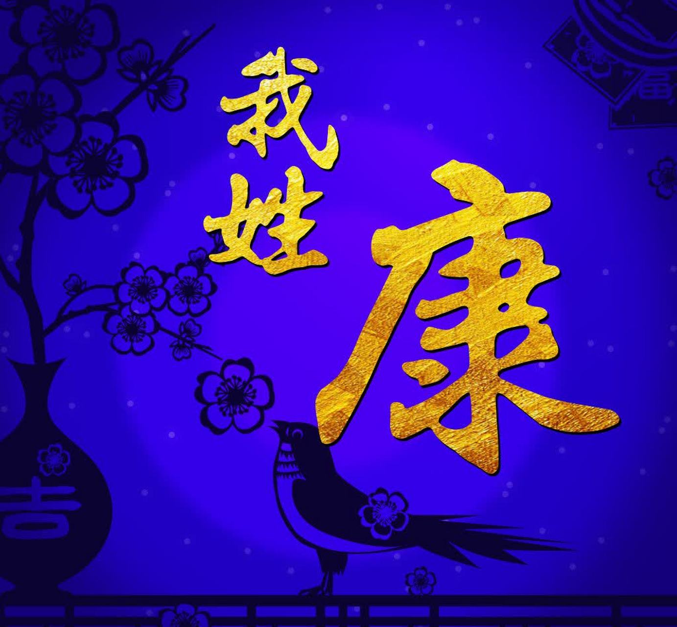 康,这个姓氏蕴含着无尽的寓意,仿佛是一幅画卷,展现了中国的壮丽山河