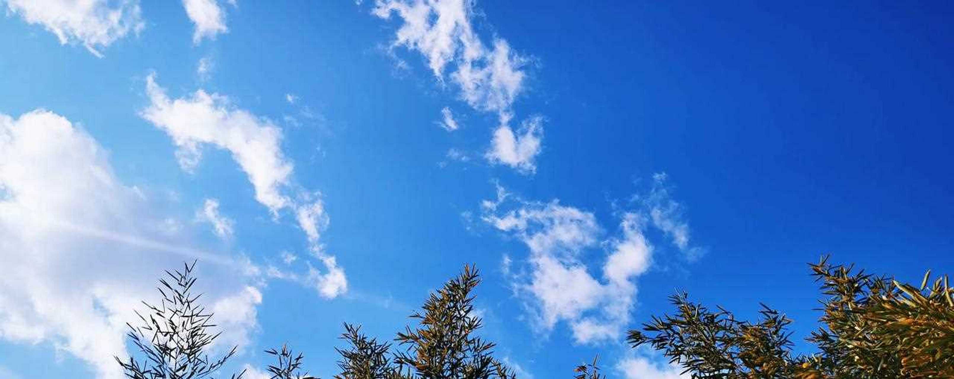 北京今天的天真蓝,美的不由自主抬头仰望,真挪不动脚步,必须举起拍照