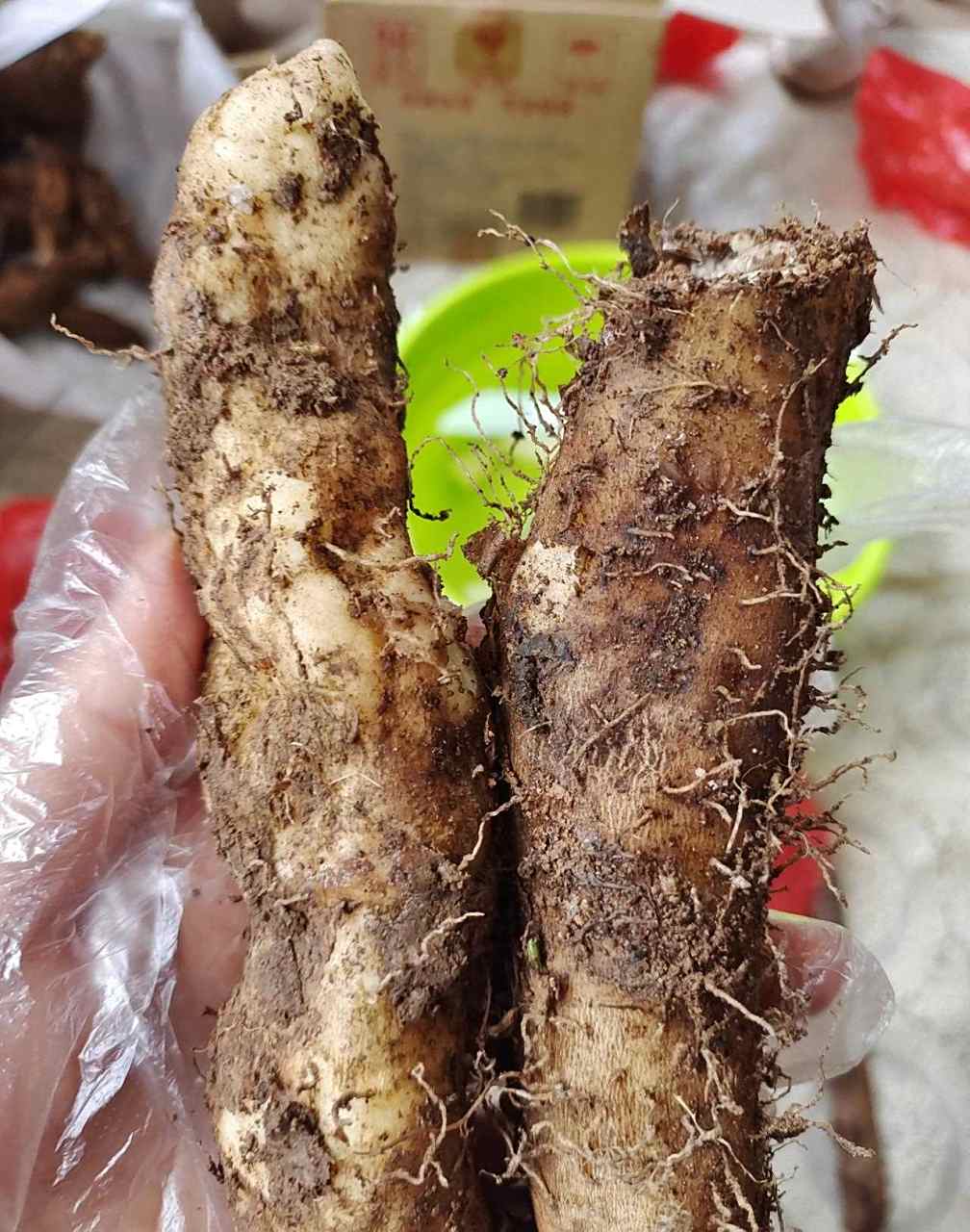 蔬菜的吃法各种各样,不说茎叶,今天随便盘点一下部分蔬菜的根茎,可