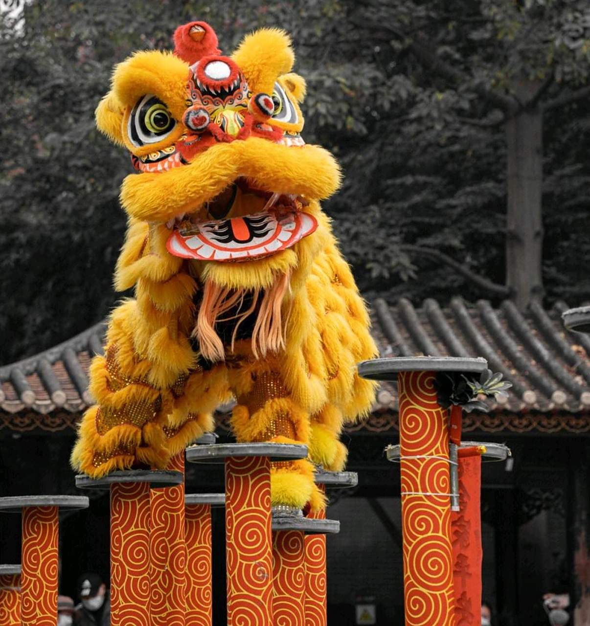 如果你去过佛山,看过真正的南狮,你就会知道目不转睛和拍手喝彩是家常