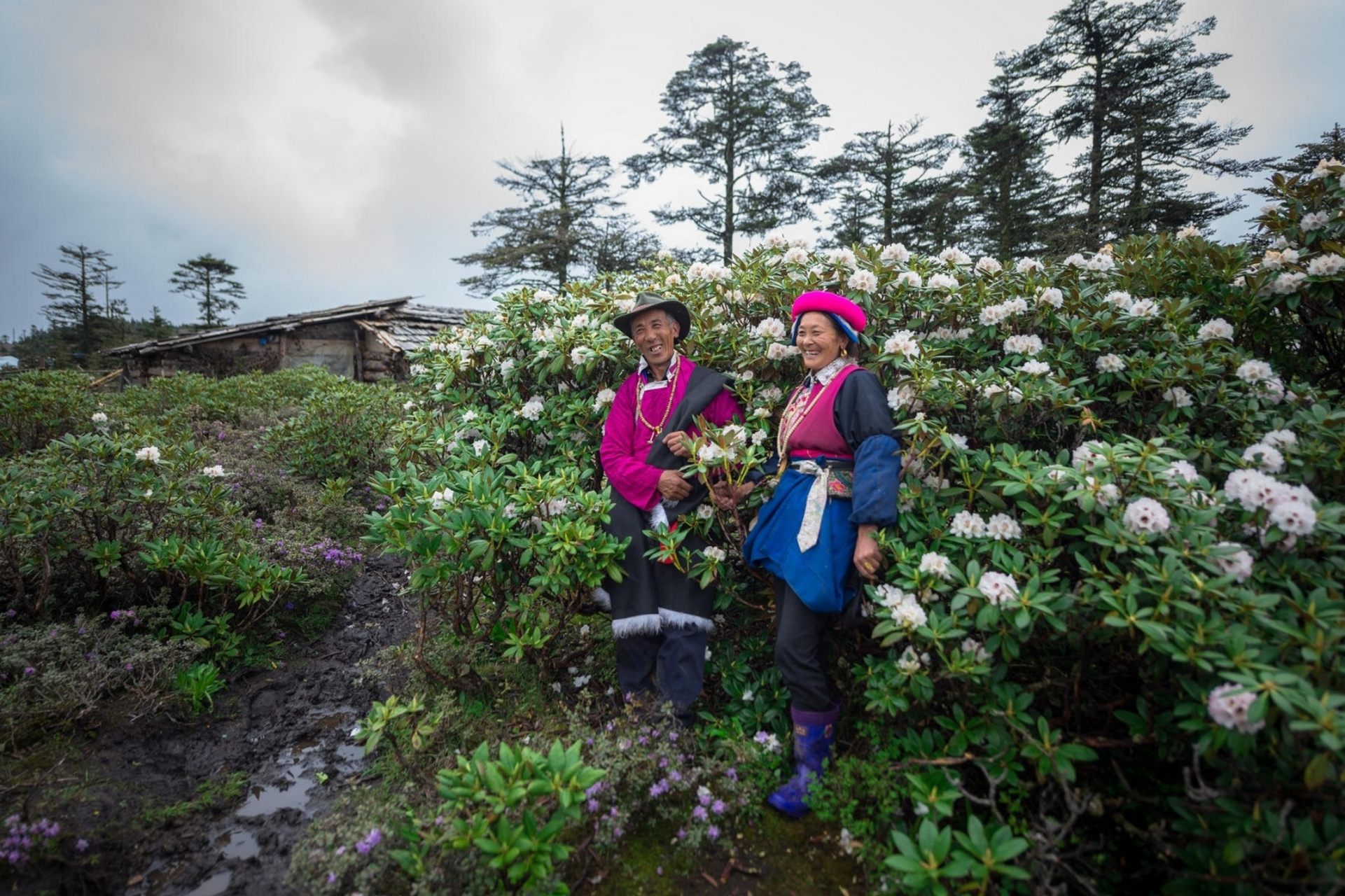 千湖山位于香格里拉县小中甸乡团结村境内,藏语称"拉姆东措",意为"