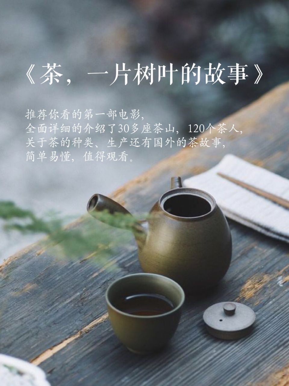 《茶,一片树叶的故事》 67 67推荐你看的第一部电影,全面详细的