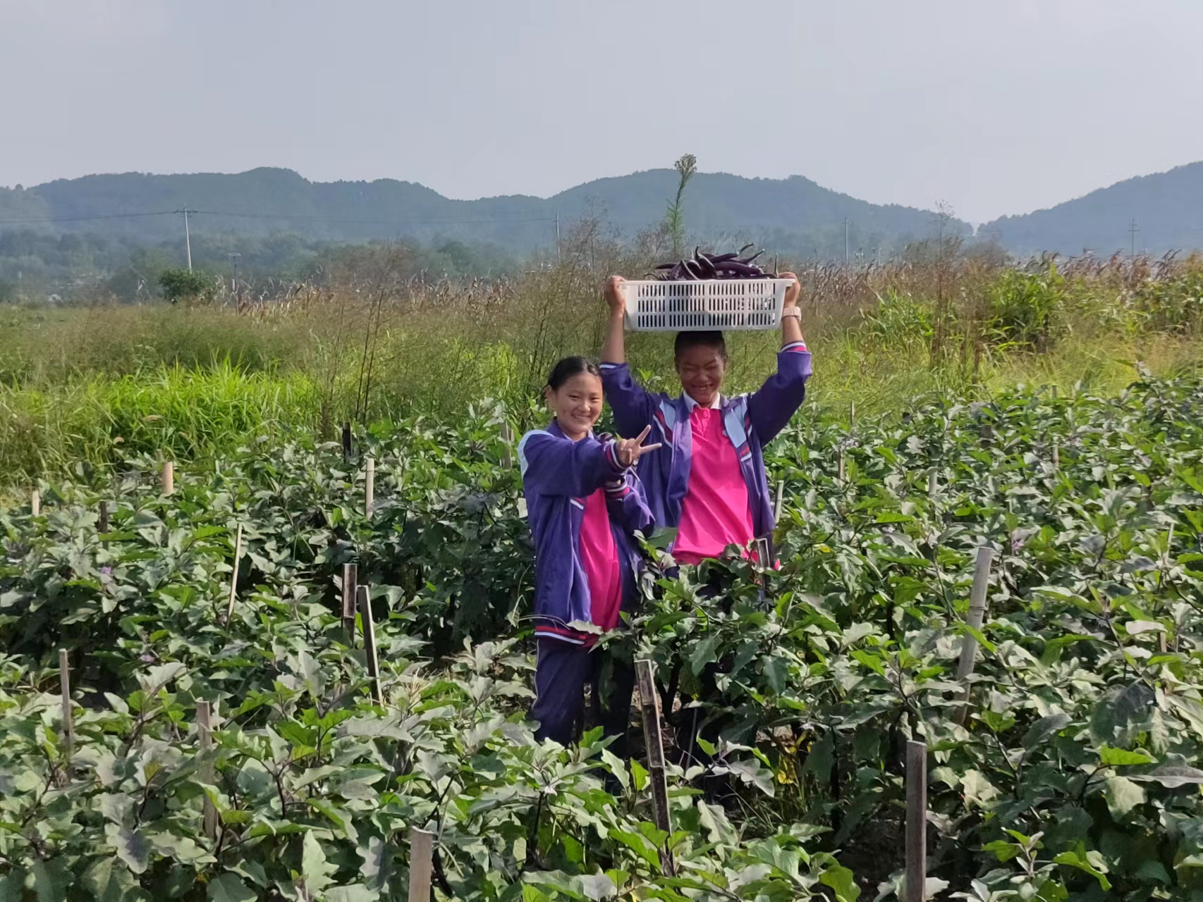 永州怀化青少年叛逆管教学校,永州怀化叛逆孩子学校收费标准,永州怀化