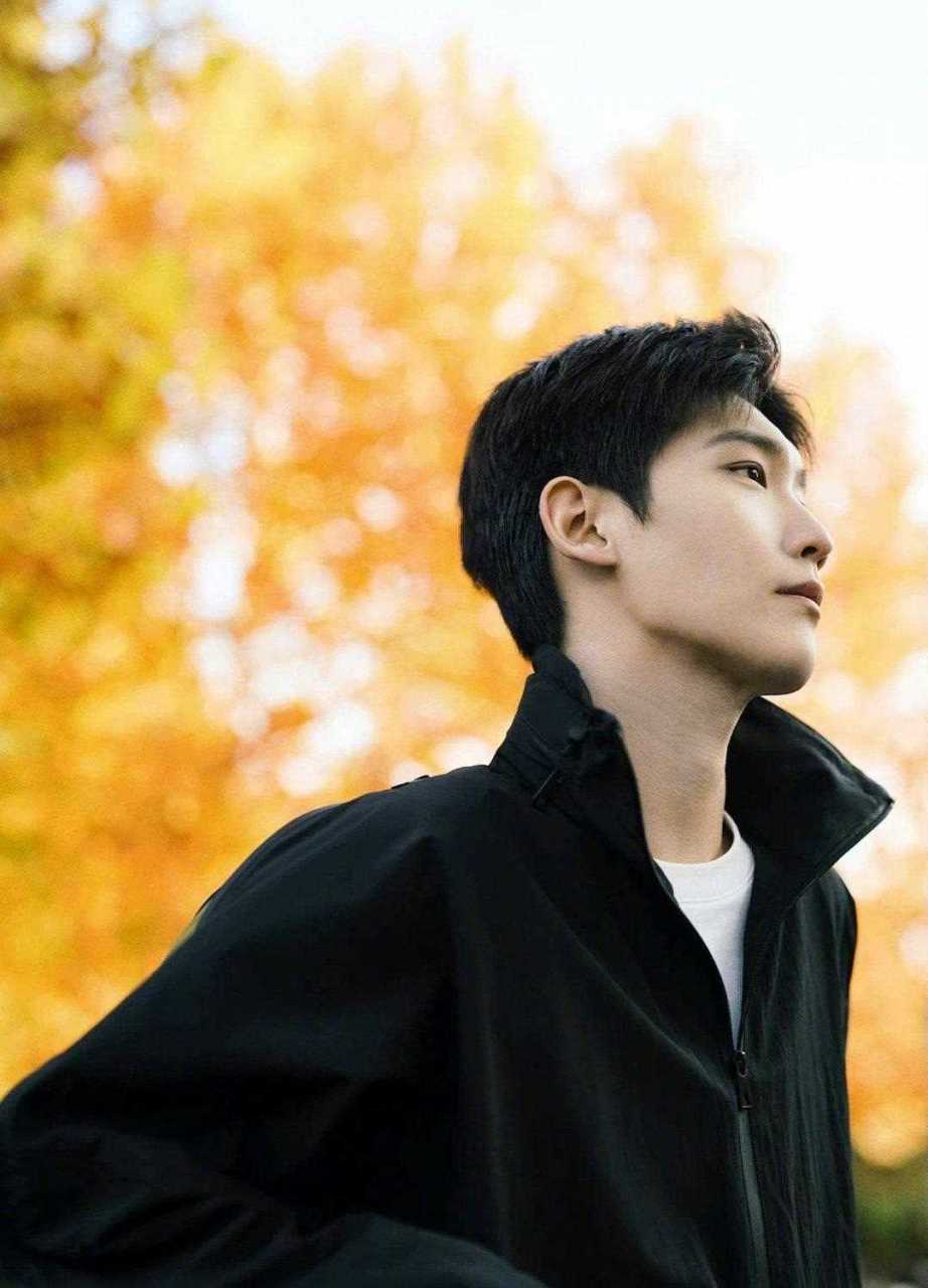 邢昭林治愈系秋日写真!银杏树下的油画男孩,趁阳光正好,与秋日告别!