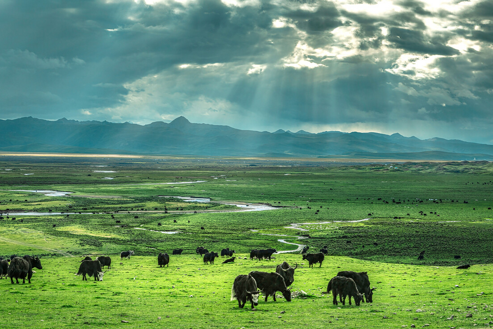 毛垭大草原,一个低调的草原风光.