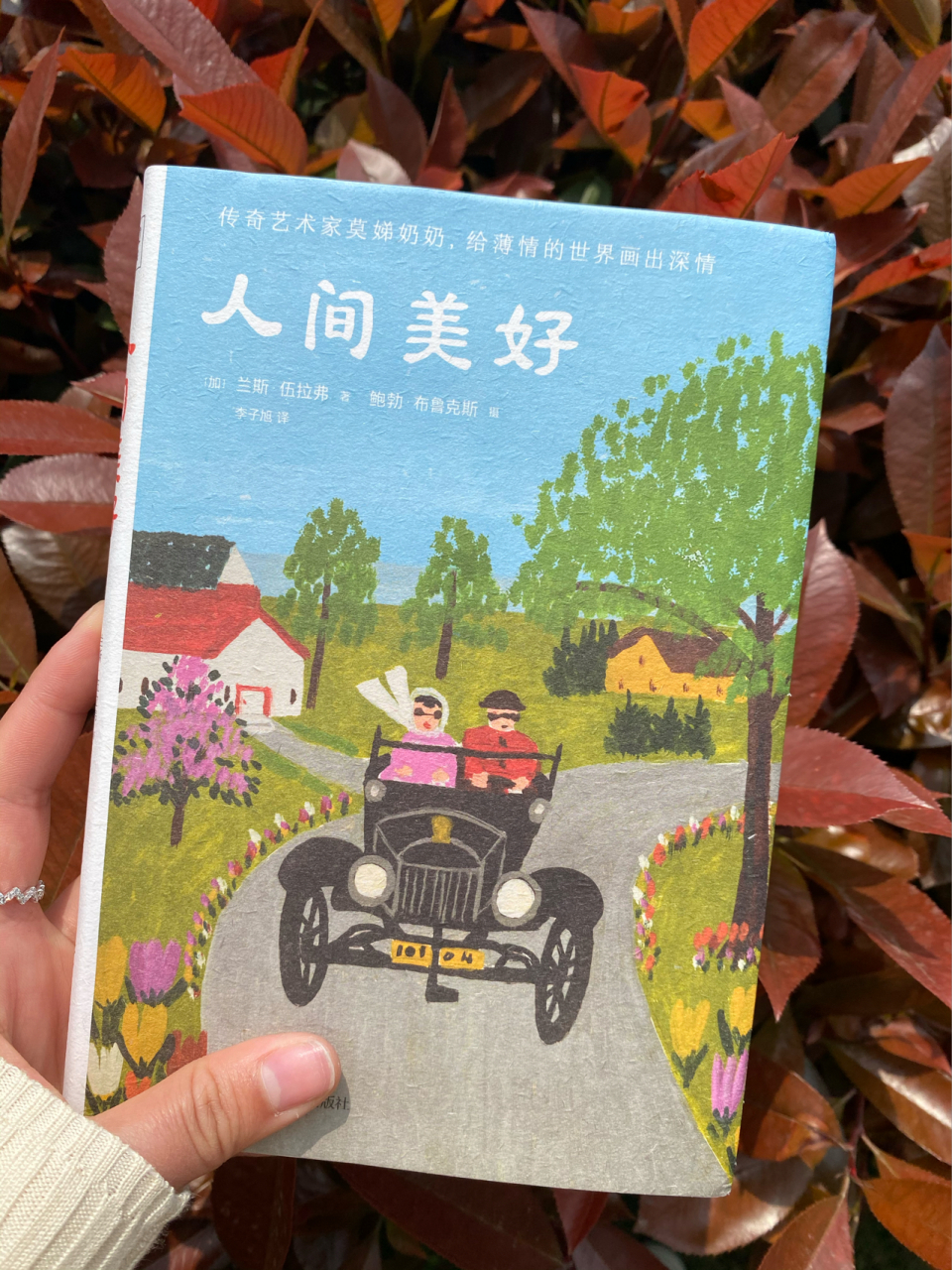 治愈书本我们要的不多,只是爱与被爱 《人间美好》 这是个艺术家莫娣