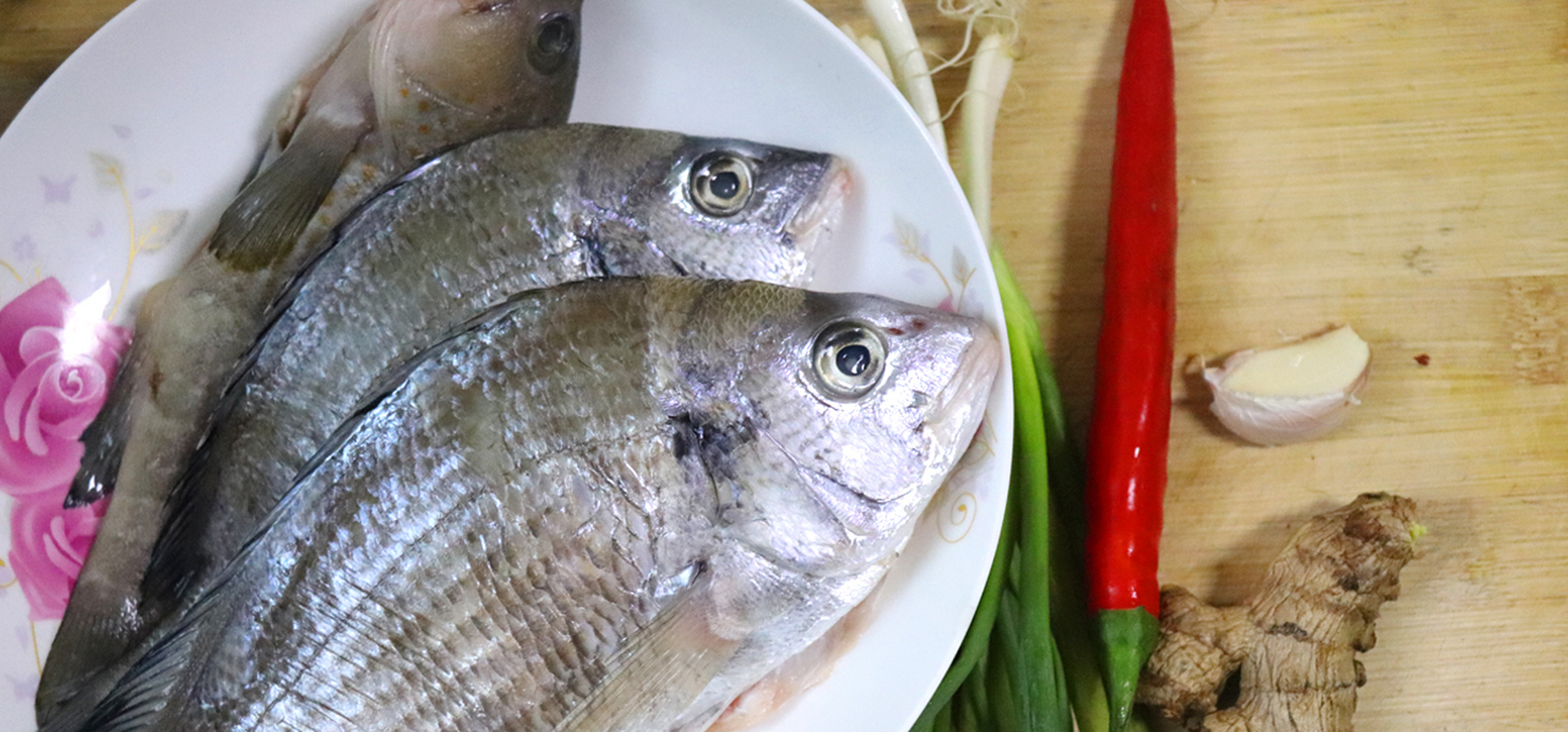 黑鲷鱼又名乌颊鱼,黑加吉,属于鲷科鱼类的其中一种.