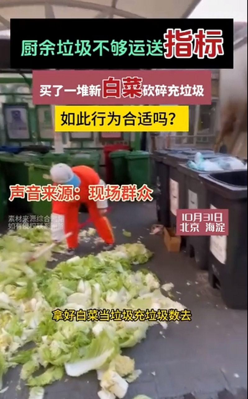 厨余垃圾不够运送指标,公司买了一堆新白菜充当垃圾,直接踩碎送入垃圾