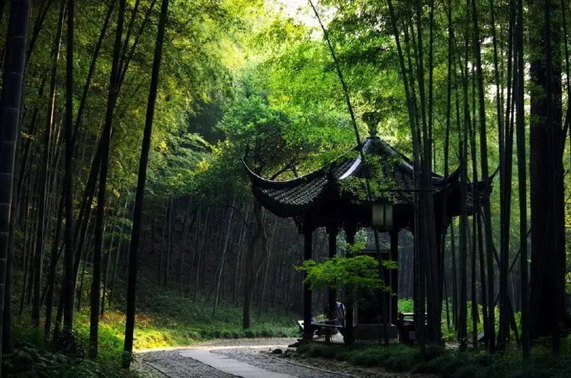 非凡杭州#云栖竹径拥有西湖周遭最美的竹海,素以竹景的"绿,清,凉,静"