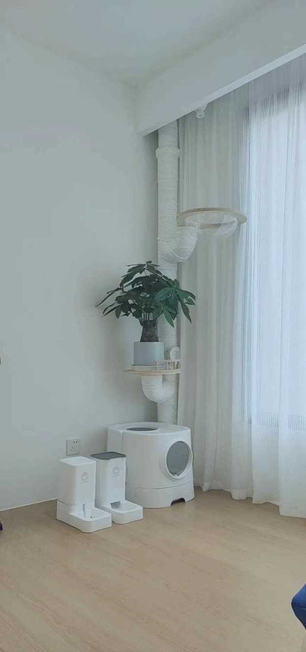 阳台上的下水管包管至少要花500大洋 在网上买了一套下水管改造的猫爬