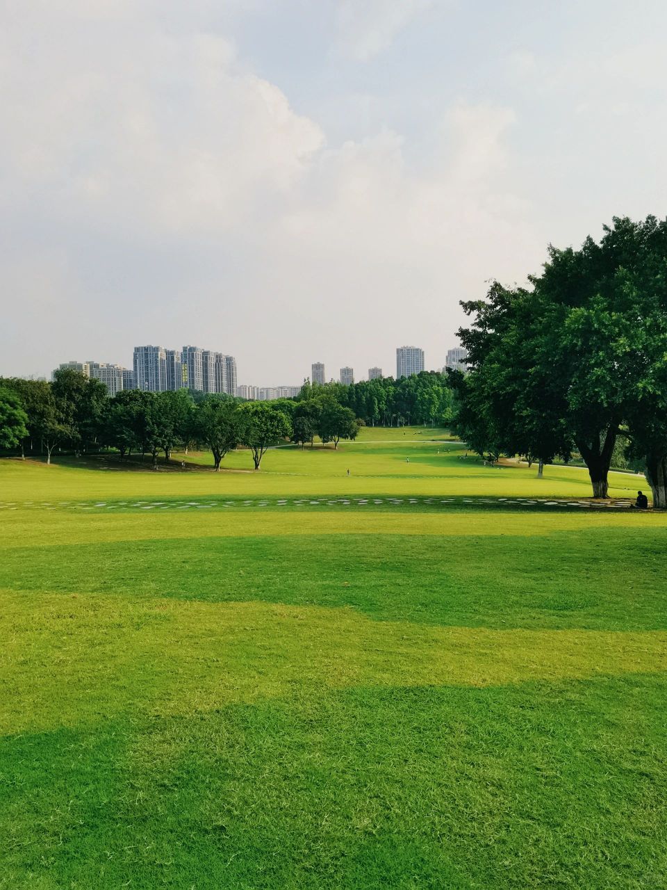 重庆最大的公园图片