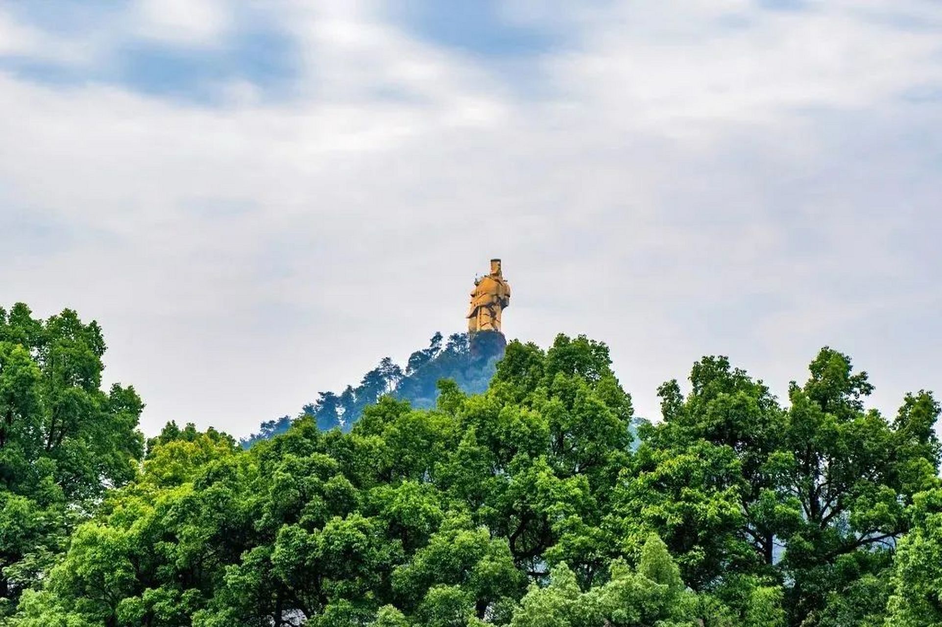 南山大金鹰图片