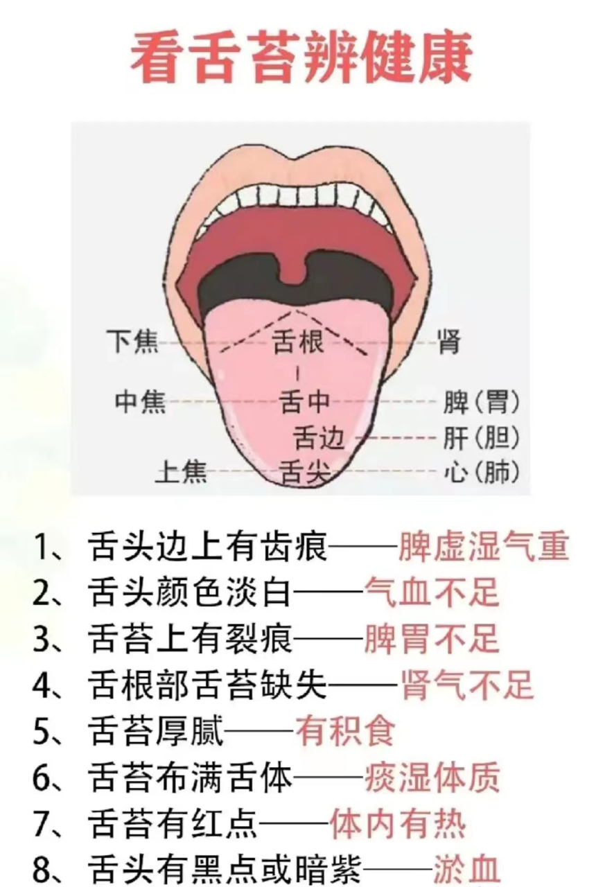 舌头的介绍图片大全图片
